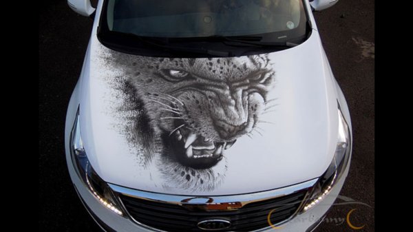 Наклейки на капот автомобиля