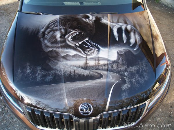 Skoda Yeti винилография