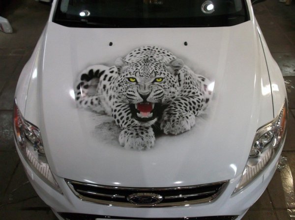 Аэрография на капоте авто