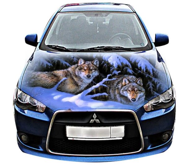 Виниловые наклейки на капот авто