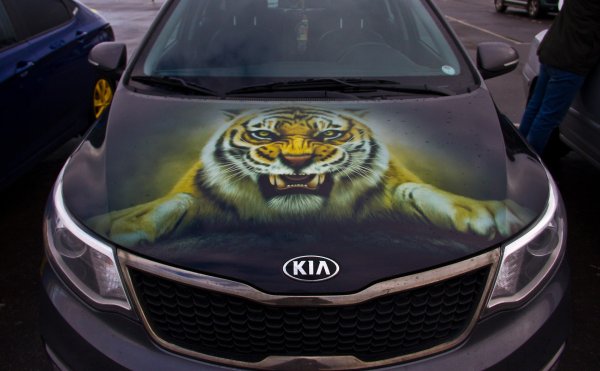 Киа Рио винилография