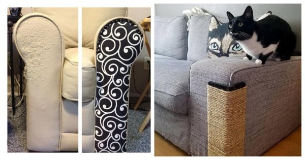 Кошка на подлокотник дивана