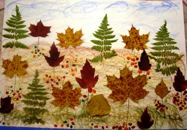 Аппликация осенний лес из природных материалов