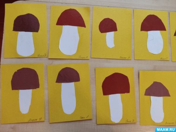 Аппликация на Лесной полянке выросли грибы в старшей группе