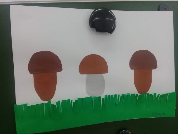 Аппликация тема: «на Лесной полянке выросли грибы» т.с.Комарова