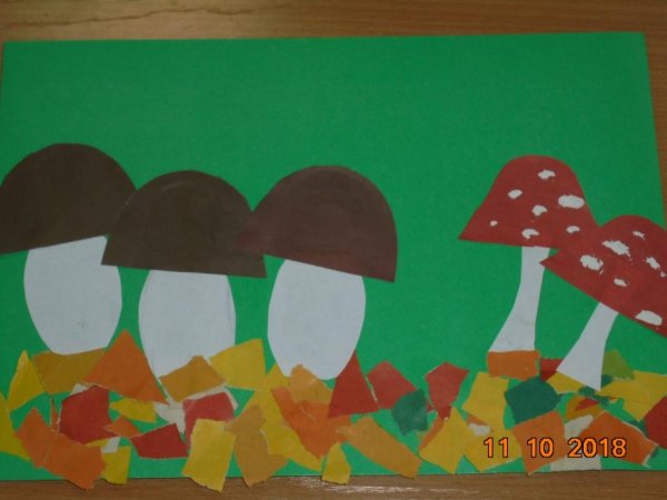 Аппликация грибная Полянка