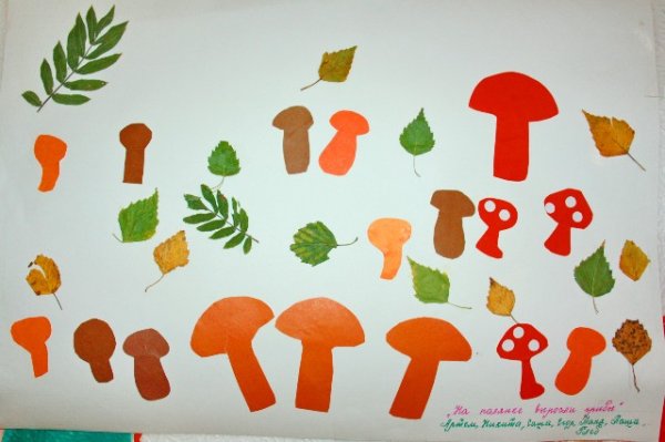 Аппликация грибы на полянке в старшей группе