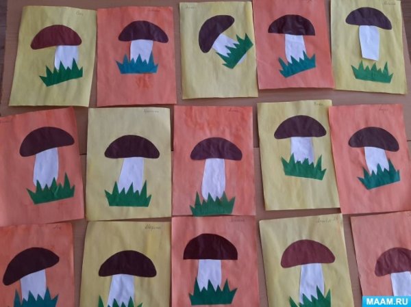 Аппликация грибы в старшей группе