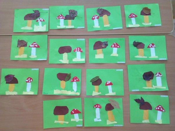 Аппликация грибы в старшей группе