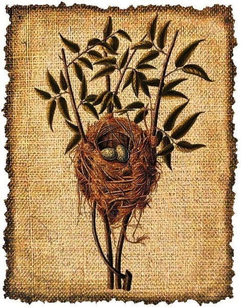 Изображение Мешковины