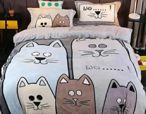 Котик в постели