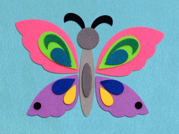 Стигисы "бабочка"