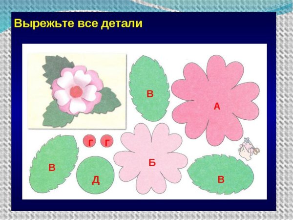 Аппликация цветов