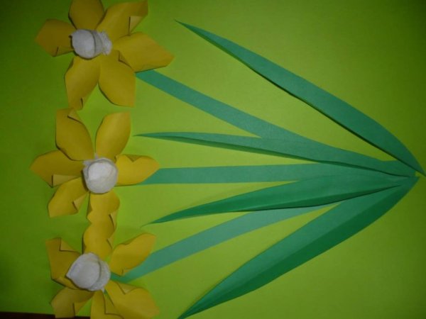 Аппликация нарциссы в старшей группе