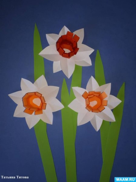 Аппликация нарциссы в подготовительной группе