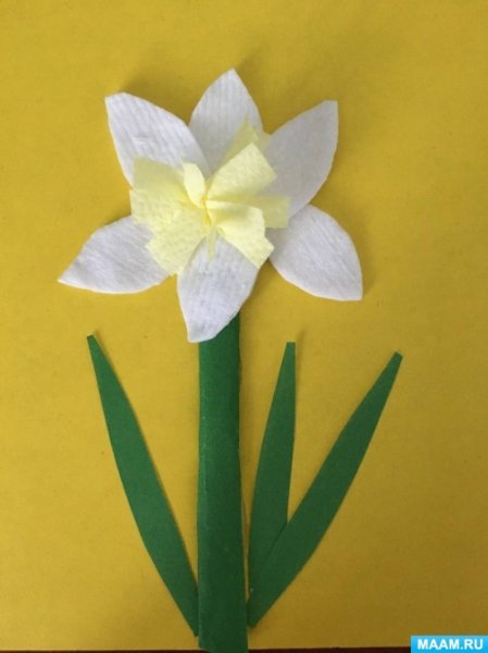 Нарциссы из бумаги для дошкольников