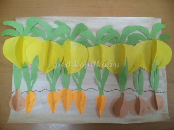 Аппликация на тему огород в средней группе