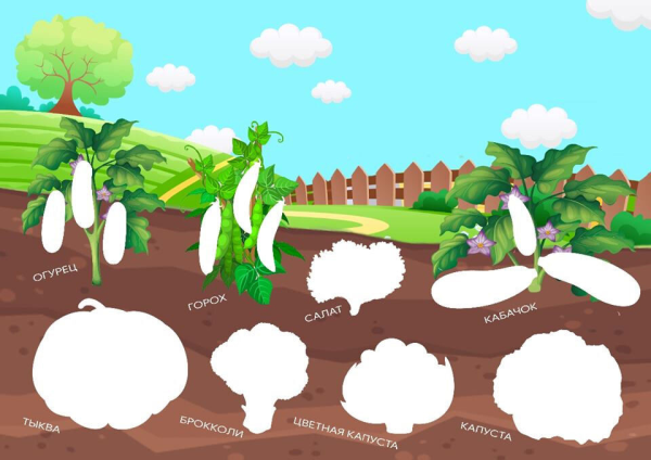 Пустая грядка для детей