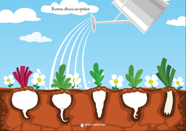 Аппликация огород