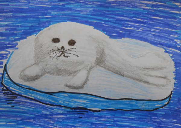 Рисование Нерпа подготовительная группа