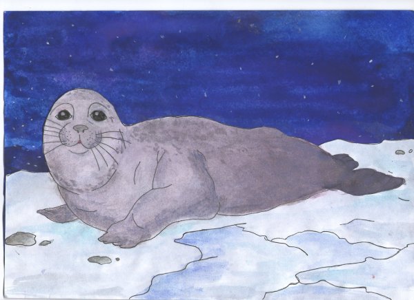 Спасение нерпенка