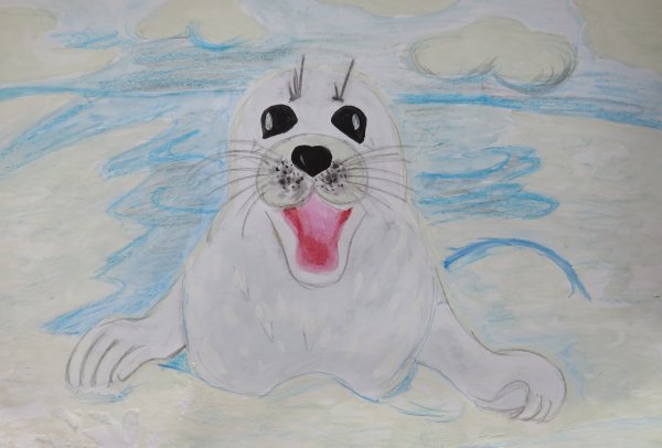 Занятие в подготовительной группе по рисованию Нерпа