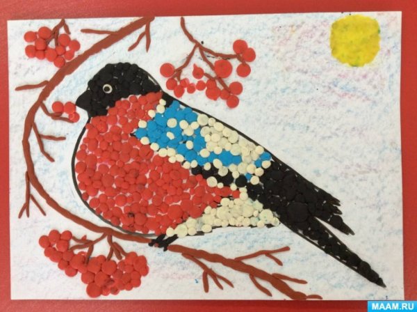 Пластилинография Снегирь в старшей группе