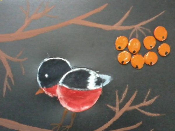 Снегирь из ватных дисков аппликация