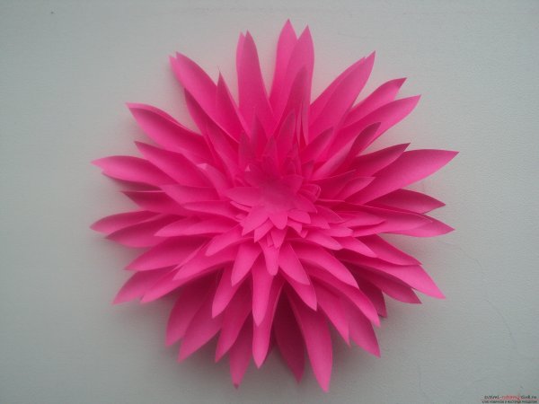 Астра из бумаги