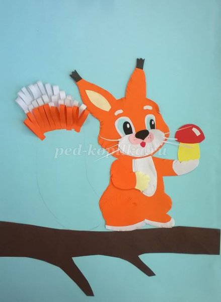 Аппликация белка