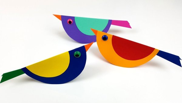 Конструирование птицы