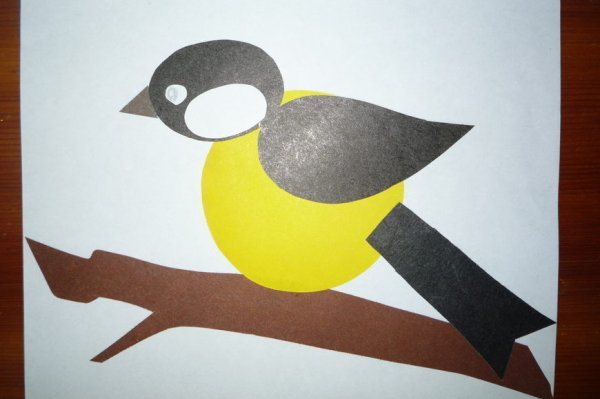 Аппликация в подготовительной группе на тему синичка