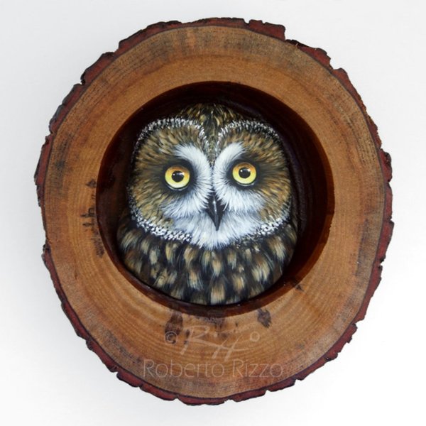 Роберто Риццо Совы