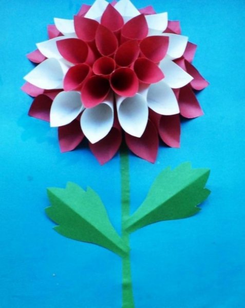 Цветы из цветной бумаги