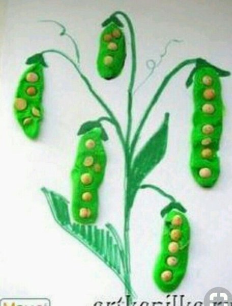 Поделки из гороха