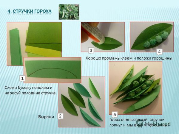 Стручок гороха из бумаги