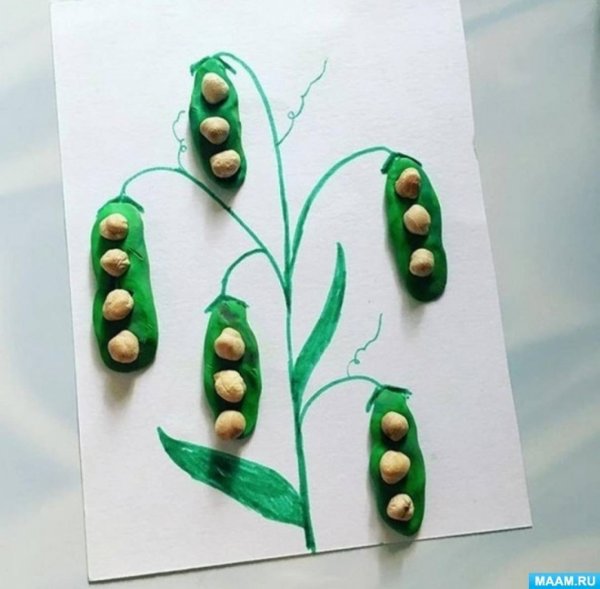 Лепка горох