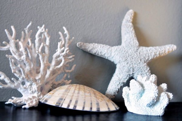 Кораллы поделки