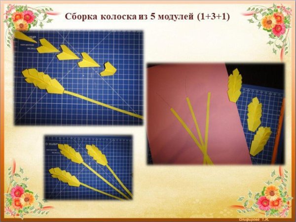 Аппликация колосок в старшей группе