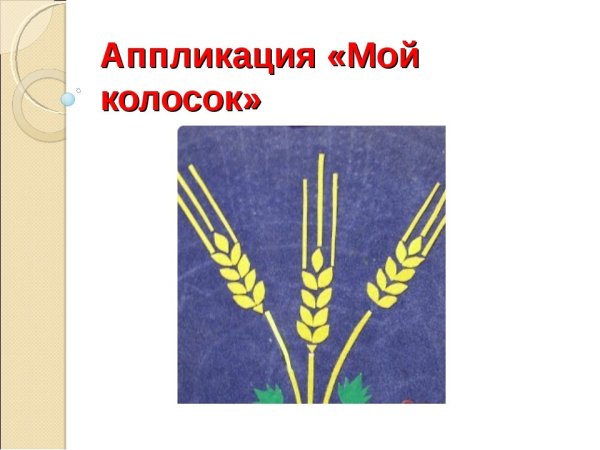 Аппликация колосок в старшей группе