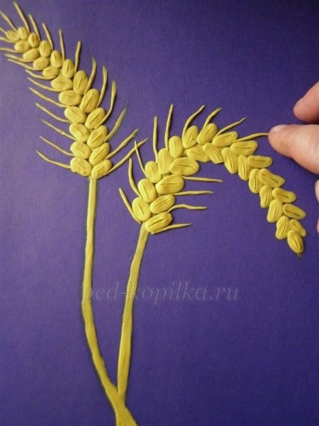 Поделки с колосками пшеницы