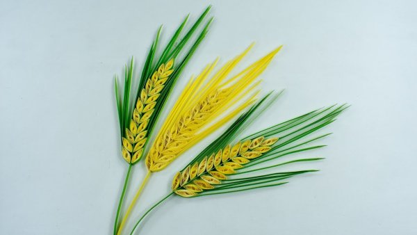 Квиллинг колоски