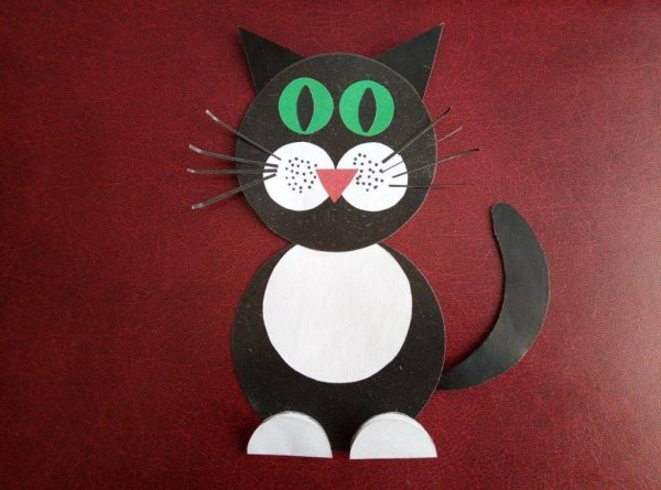 Аппликация кот