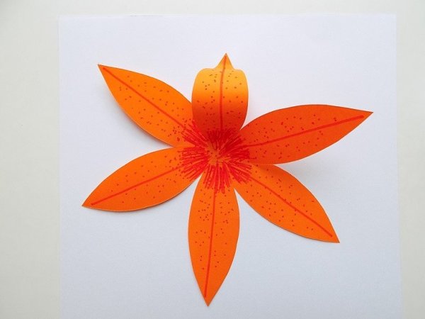 Объемные цветы из бумаги