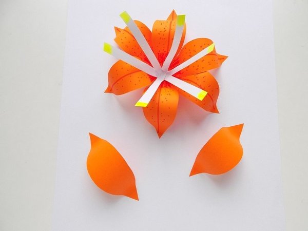 Лепестки из цветной бумаги