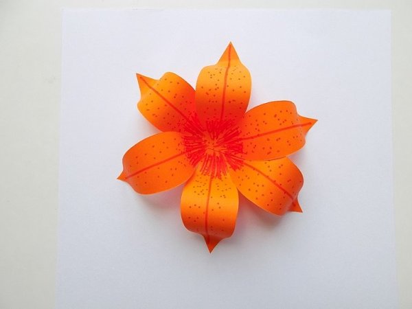 Поделка Лилия из бумаги