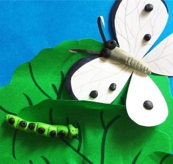 Аппликация. Бабочки
