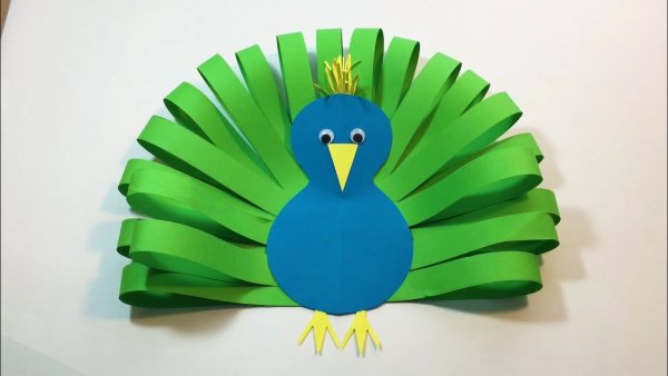 Аппликация Павлин из цветной бумаги