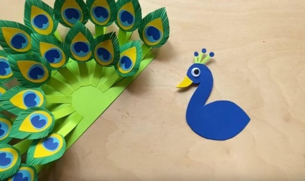 Аппликация Павлин