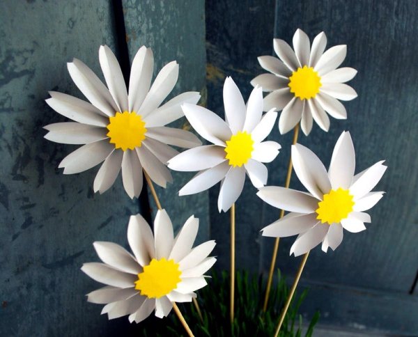 Объемные ромашки